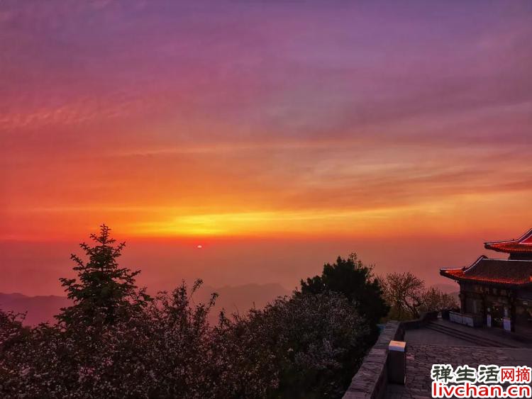 俄罗斯一项新研究发现，不抱怨的人抗压能力强