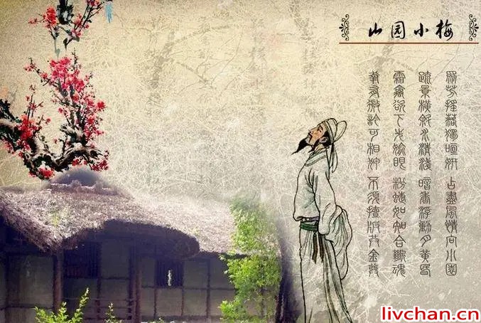 绰号流年忆春秋