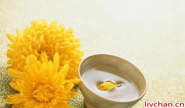 医生喜欢养的6种花！不仅好看还健康