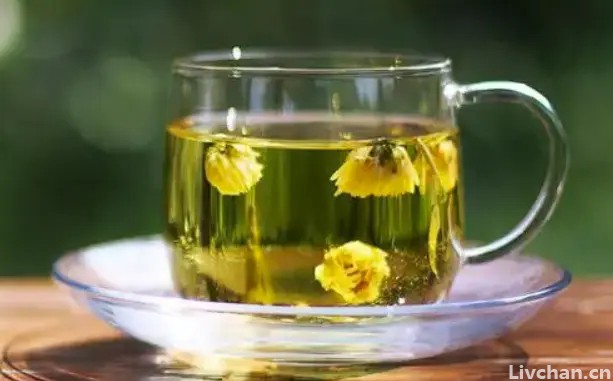 一杯菊花茶 堪比百味药