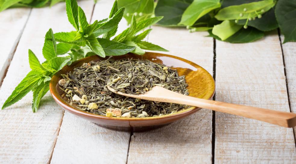 茶叶养花的用法以及好处，二次利用