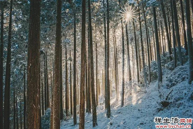 晨读 | 腊月