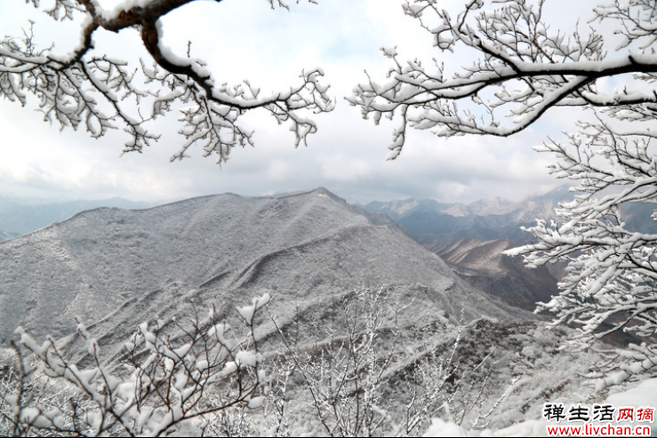 在中国古诗词里，寻找“雪容融”
