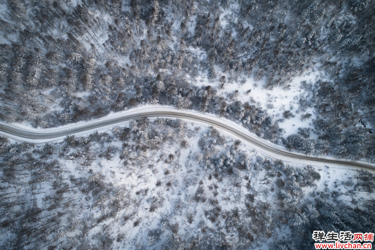 在中国古诗词里，寻找“雪容融”