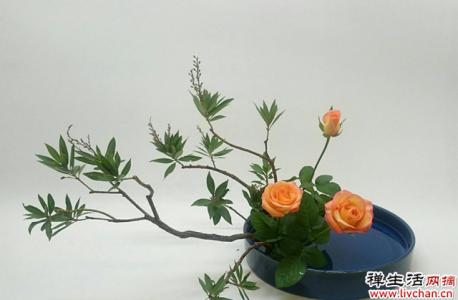 花艺是当之无愧的人文艺术，人与自然美的结合