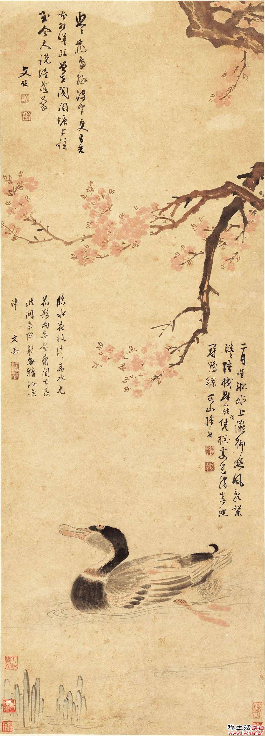 历代名家杏花图，心中万点柔情荡漾