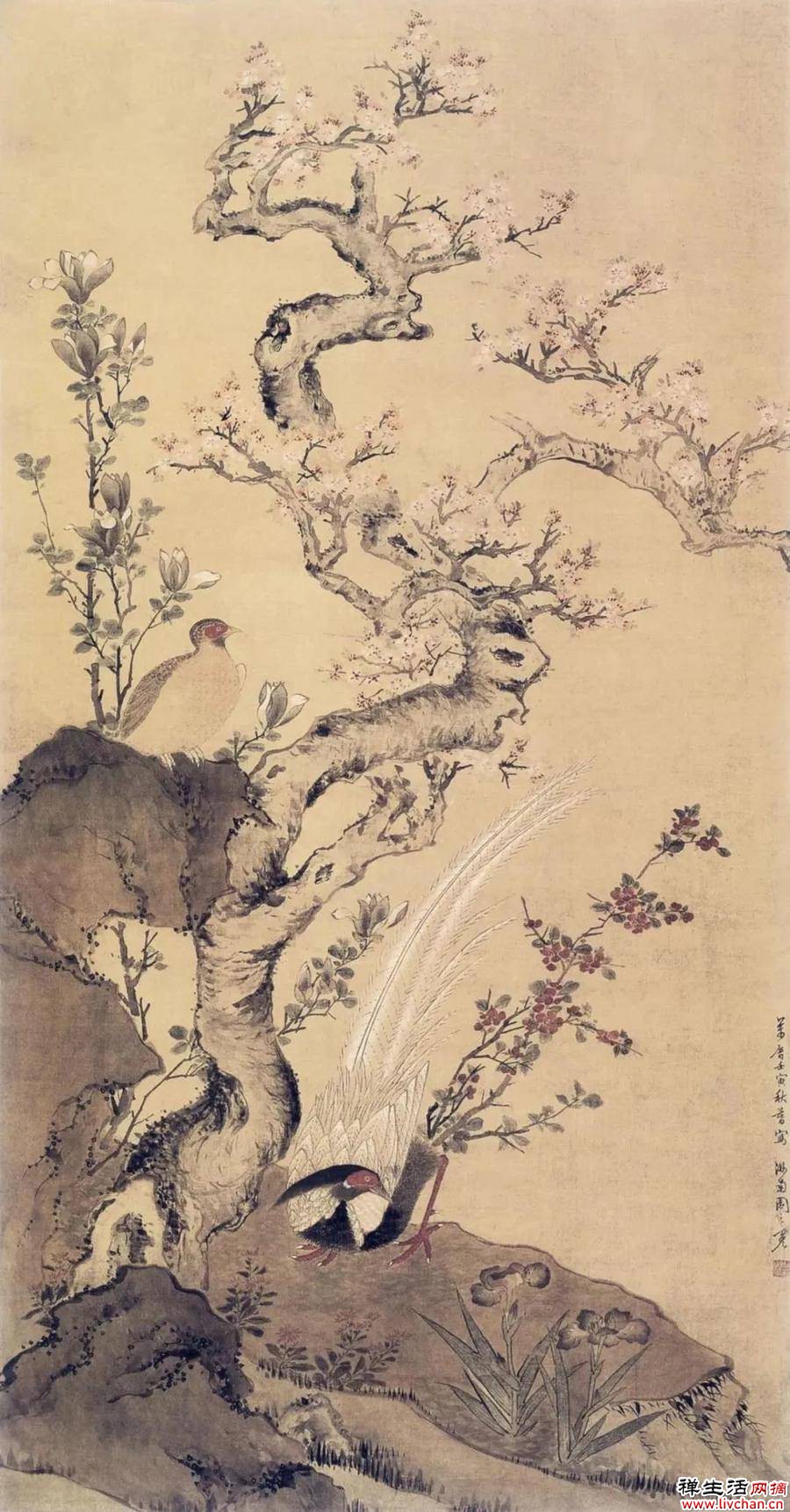 历代名家杏花图，心中万点柔情荡漾