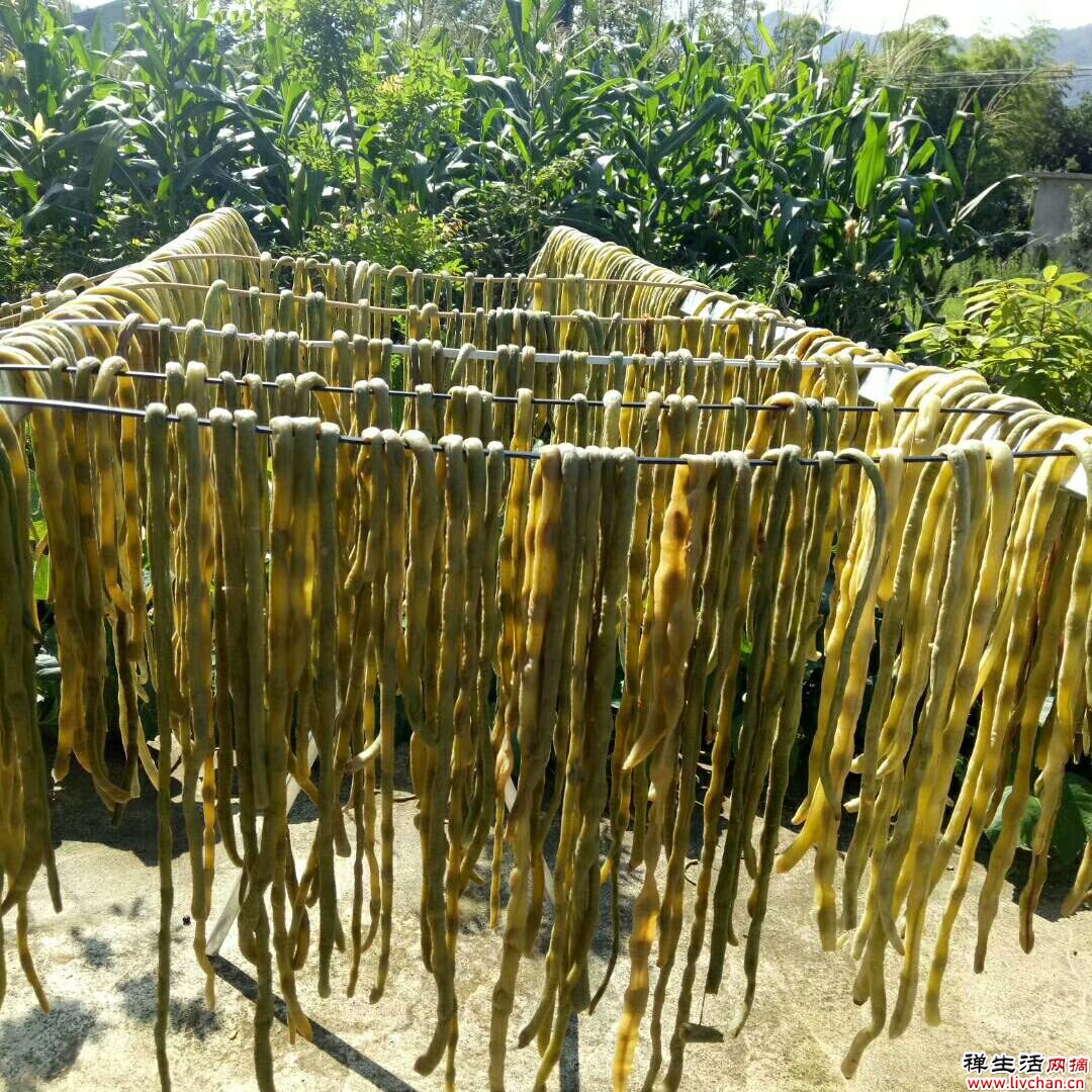 4种蔬菜晒干后，是东北人的最爱，放上1年都不坏，冬季炖肉嘎嘎香