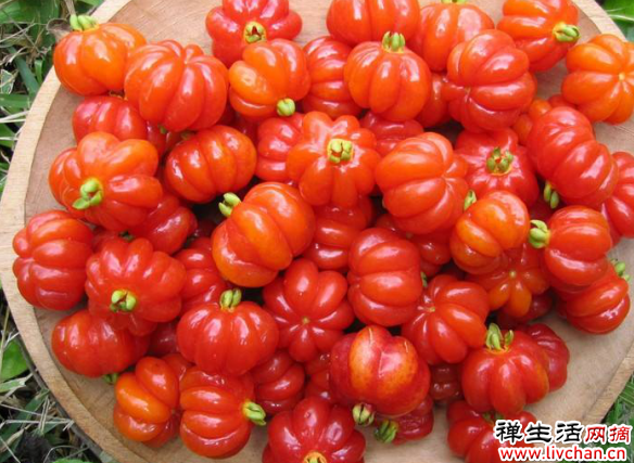 世界最顶级的4种水果，吃过两种就算“土豪”