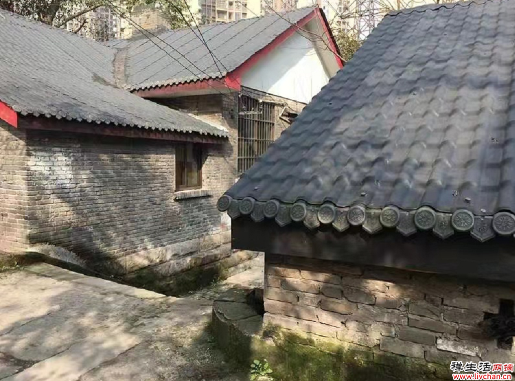 夜雨丨疏影：铁血豫丰里