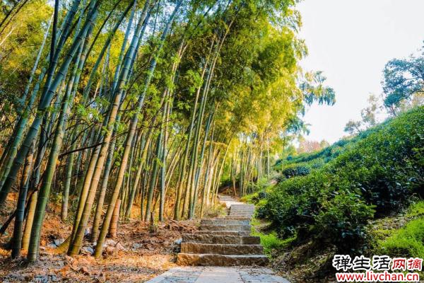 静坐常思己过，闲谈莫论人非