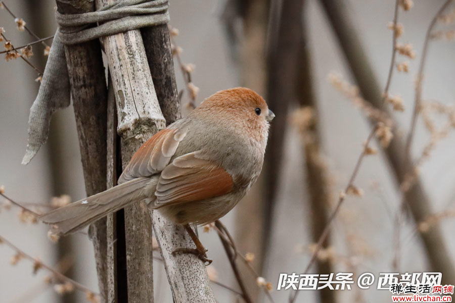 修心(经典好文) 修心(经典好文)
