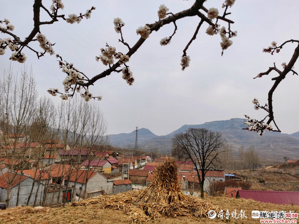 原来，让你走向“深渊”的，通常是你盲目的一厢情愿