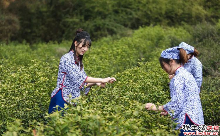 断舍离(深度好文) 断舍离(深度好文)