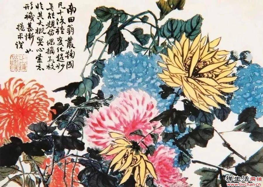 鉴赏 