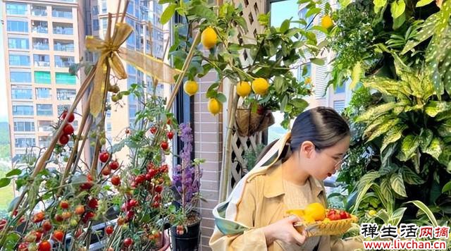 广东一位女主的阳台火了：5㎡打造成“花果园”，那叫一个高级
