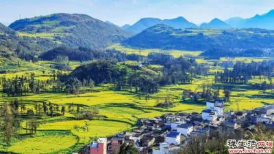 哲思 | 人生,能炼气方成器