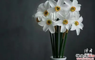女生坚持做那些事情可以越来越漂亮有气质?