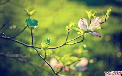 抽象时间|无限杂思