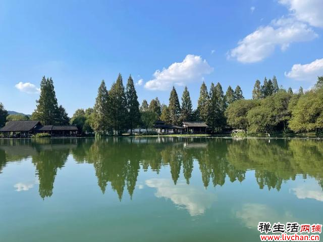 诗不可说丨诗词中的这种鸟，为何从战国写到明清