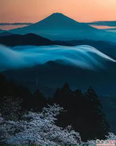 哲思 | 人与人相处,请记住这5条忠告