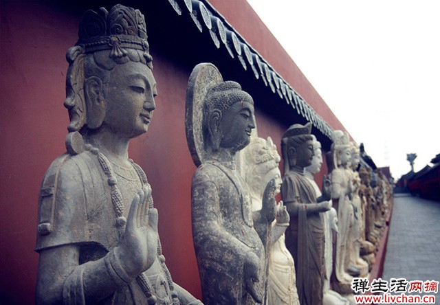 人到中年烦恼多，默念这首禅诗，烦恼自然消