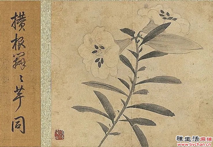 故宫花信|百合:堂前种山丹,错落玛瑙盘 故宫花信|百合:堂前种山丹,错落玛瑙盘