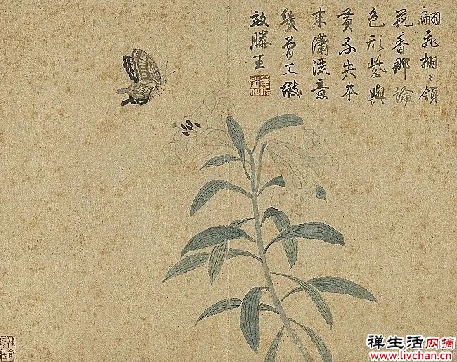 故宫花信|百合:堂前种山丹,错落玛瑙盘 故宫花信|百合:堂前种山丹,错落玛瑙盘