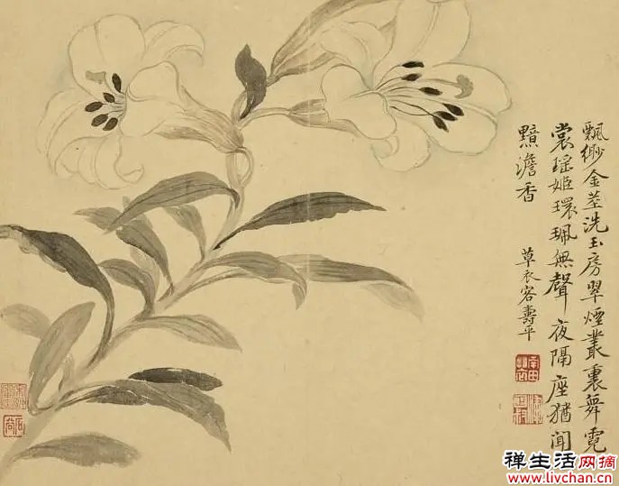 故宫花信|百合:堂前种山丹,错落玛瑙盘 故宫花信|百合:堂前种山丹,错落玛瑙盘