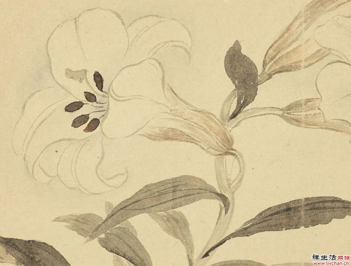 故宫花信|百合:堂前种山丹,错落玛瑙盘 故宫花信|百合:堂前种山丹,错落玛瑙盘