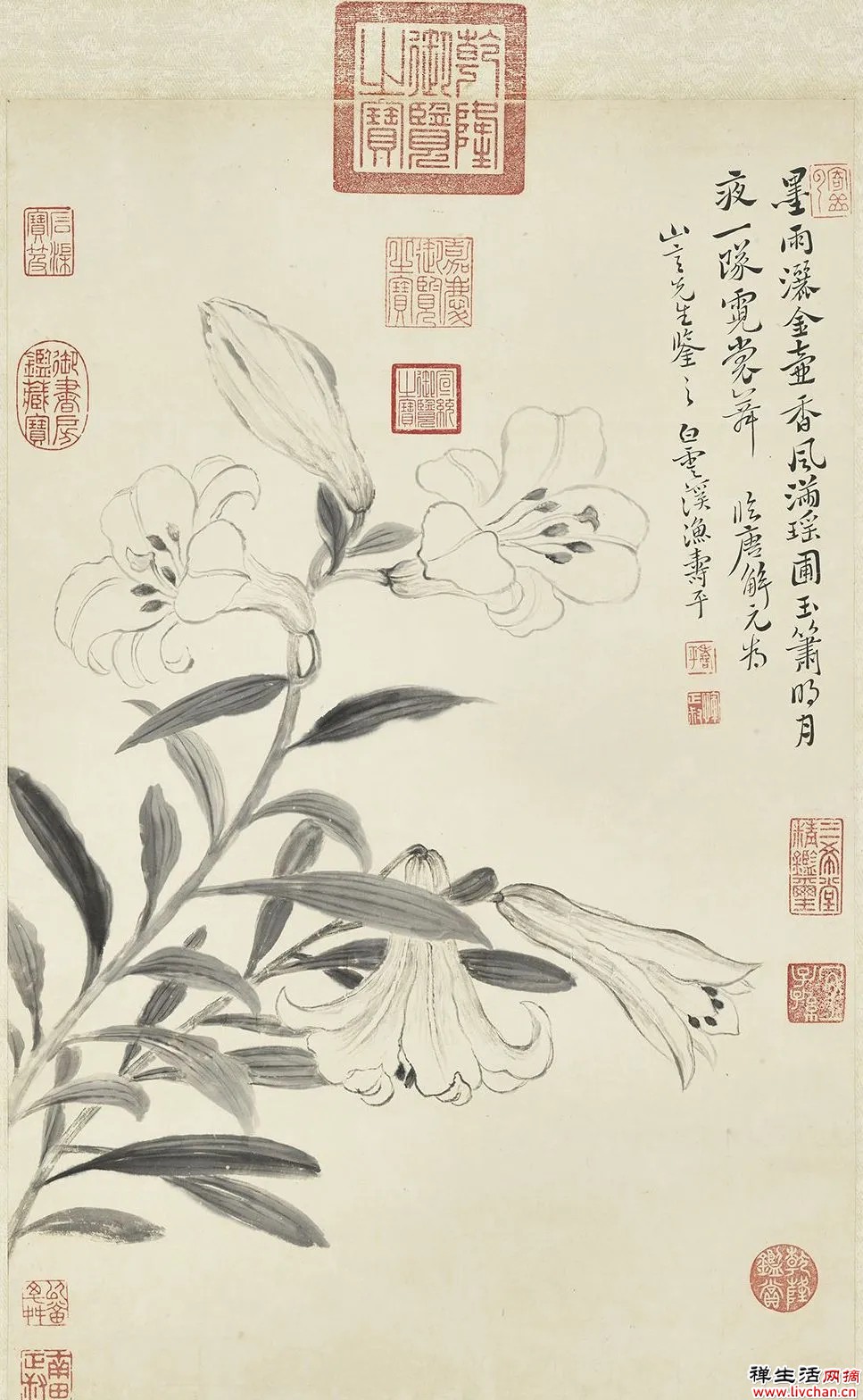 故宫花信|百合:堂前种山丹,错落玛瑙盘 故宫花信|百合:堂前种山丹,错落玛瑙盘