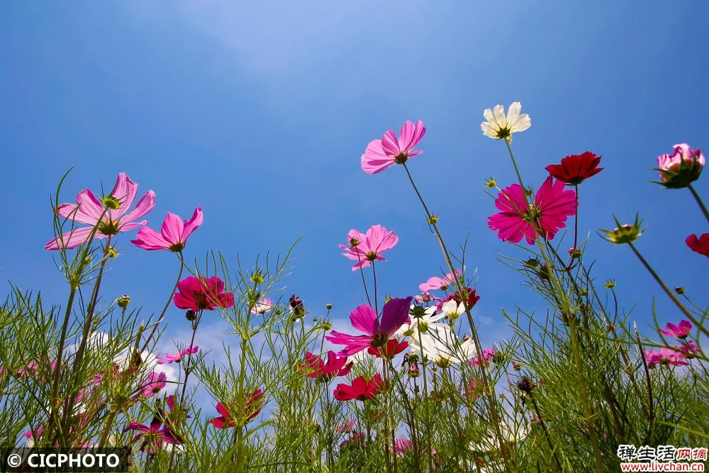 一个人,成长最快的三种方式