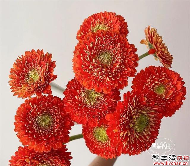 心态、心境、心性（深度好文）