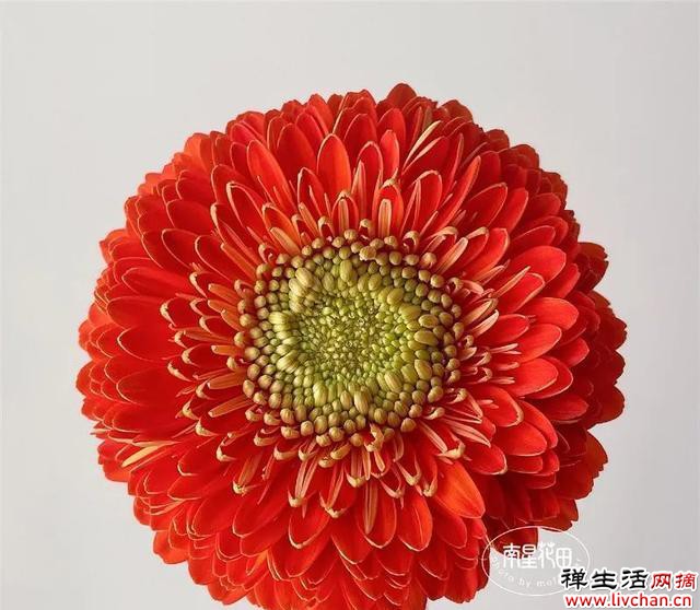 心态、心境、心性（深度好文）