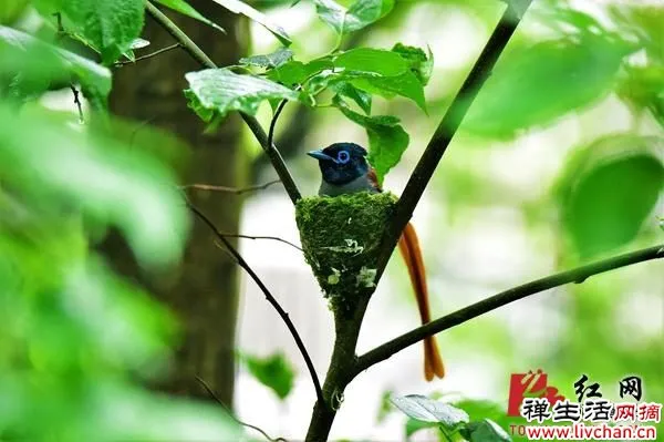 心态、心境、心性(深度好文)