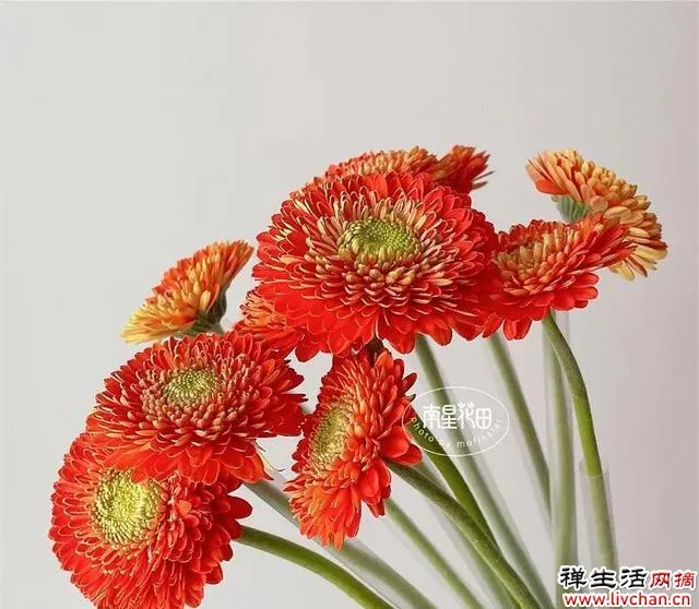 最高级的聪明,是叫醒自己