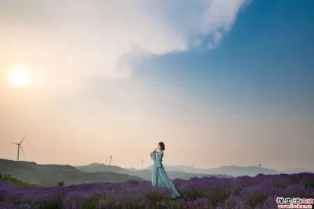 真正聪明的人,只过1%的生活