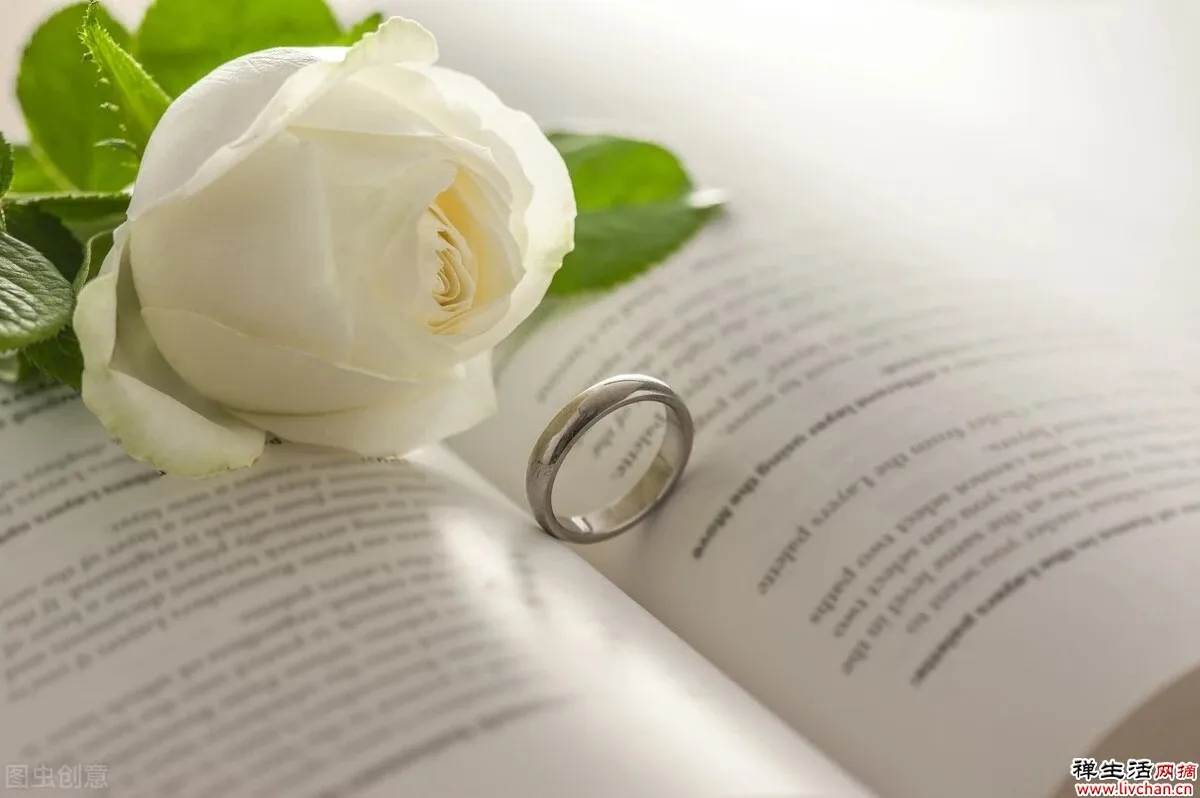 你的修养,就是你灵魂的长相