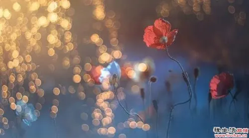 夜读丨余生,做一个有趣的人