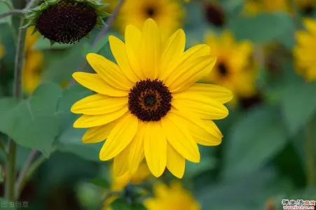 夜读丨中年以后,请过减负的生活