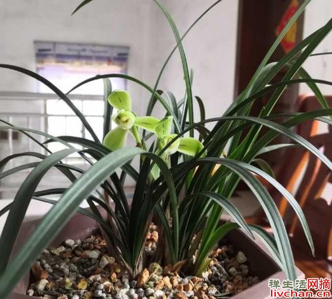 人到中年：2约2不约，3比3不比