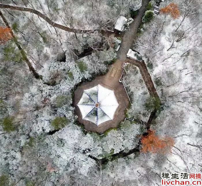 明海大和尚 | 自我警策 增长心力