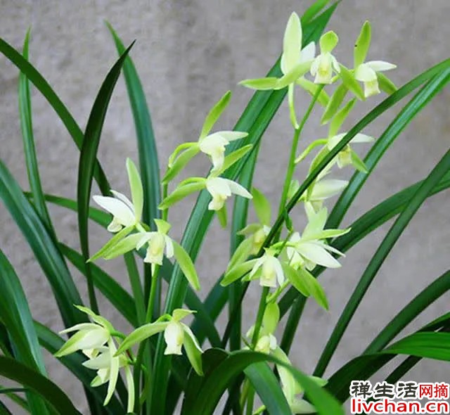 《增广贤文》精华10句，藏着社会生存的智慧