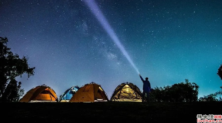 夜读丨独处，是一个人最昂贵的自由
