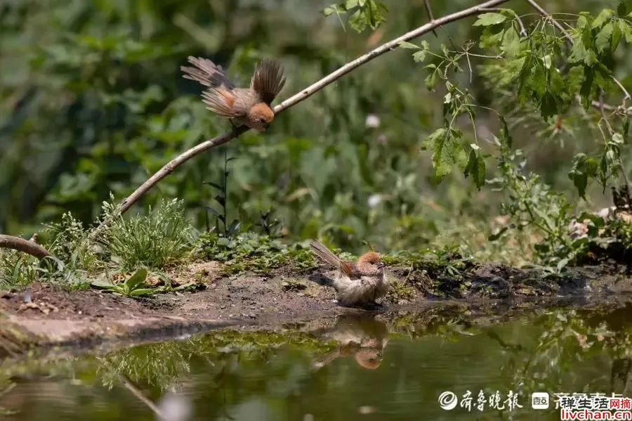 一个人最好的状态:物质极简、圈子干净、内心丰盈