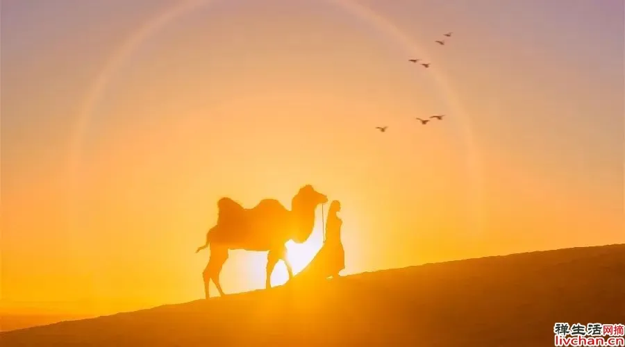 挫折吻我 报之以歌