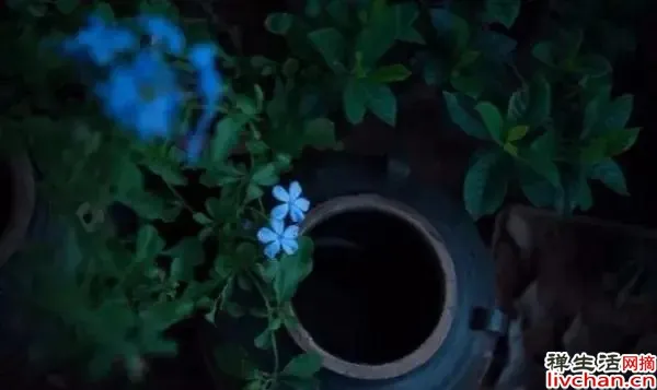 人的一生,都在为认知买单