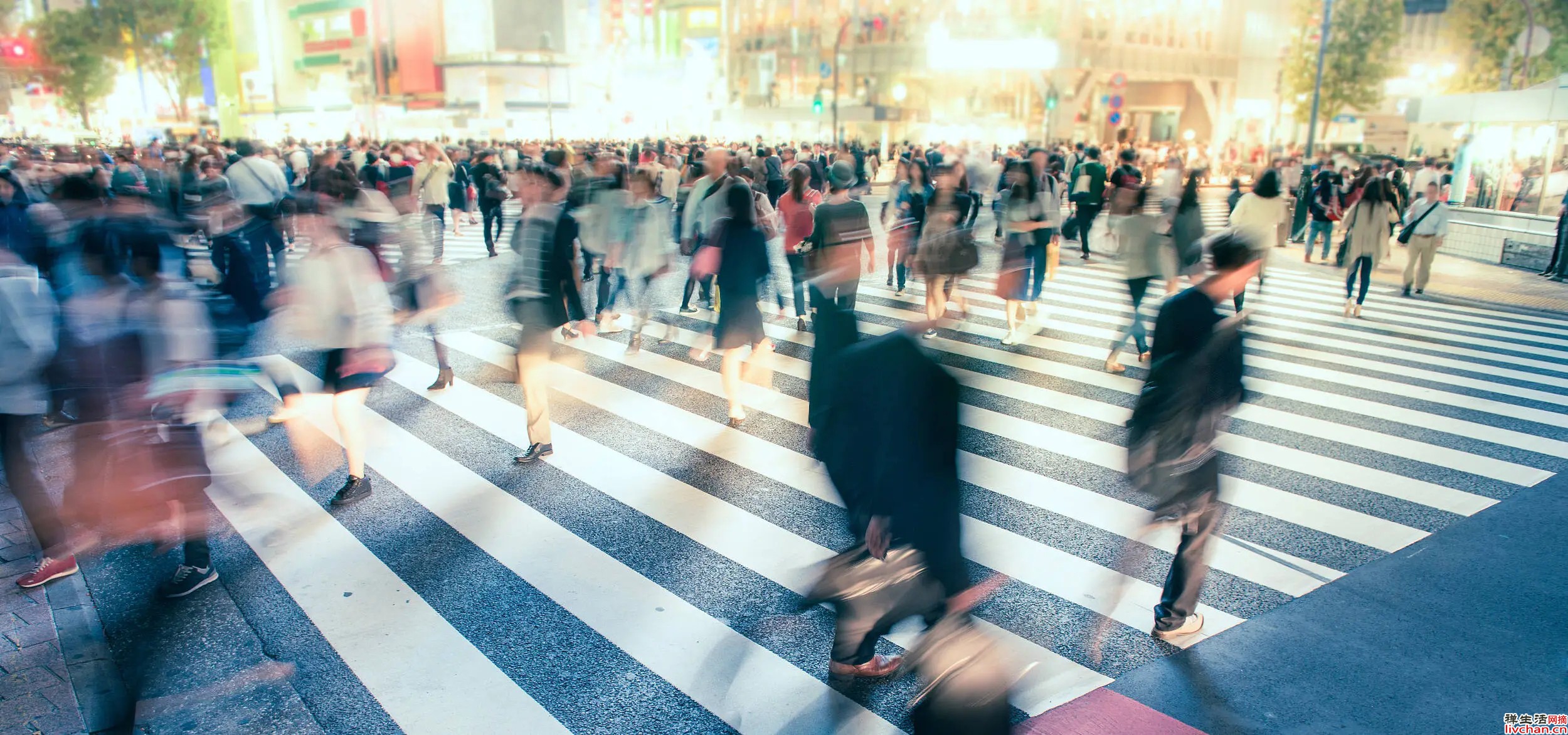 夜读丨做人比事业和爱情更重要