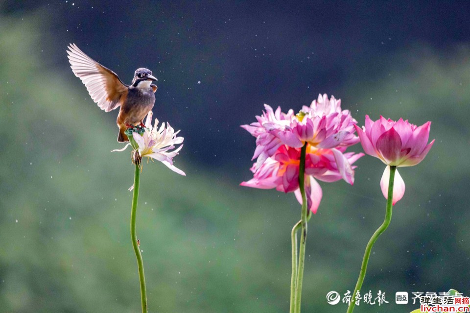 余生，愿你越活越优秀