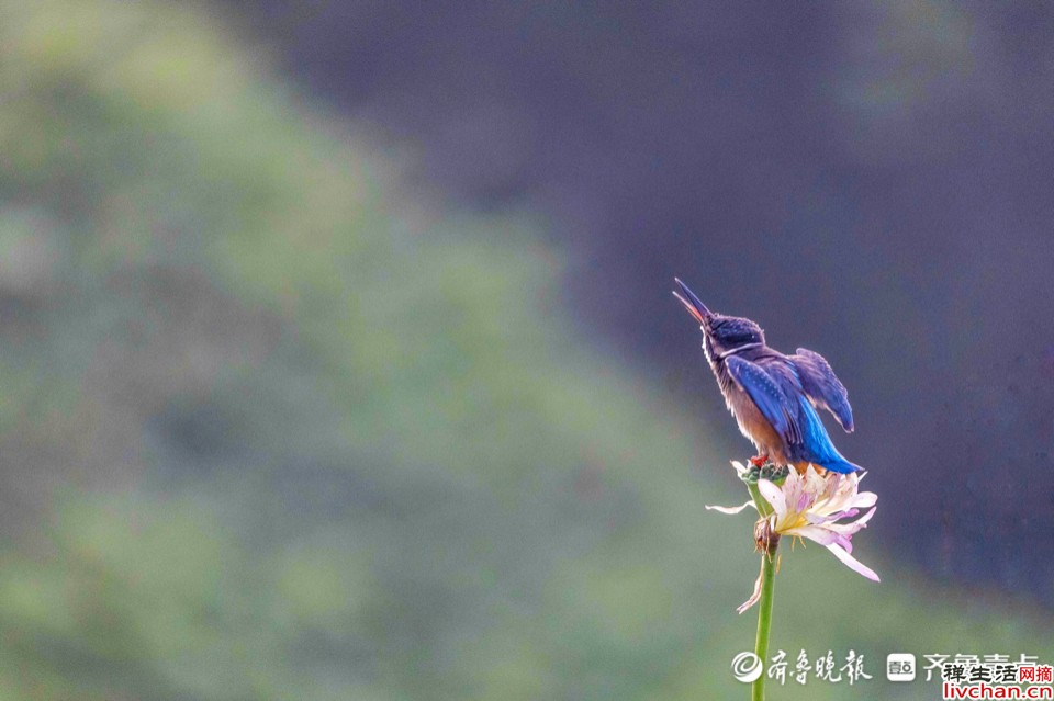 余生，愿你越活越优秀